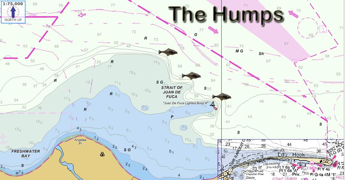 Alaska Halibut Fishing Maps  SquidPro Tackle's Halibut Fishing